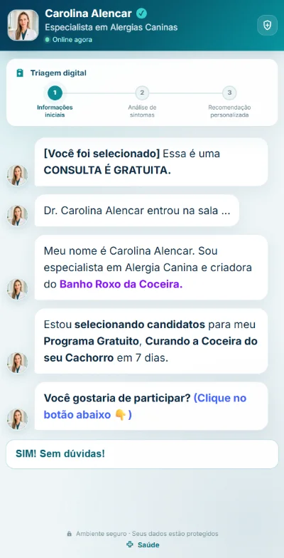 Funil de conversa de triagem digital em nicho de saúde, com especialista, etapas e mensagens.